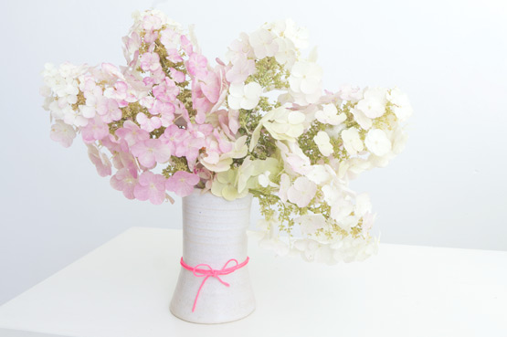 JOELIX.com | Gradient Hydrangea Paniculata