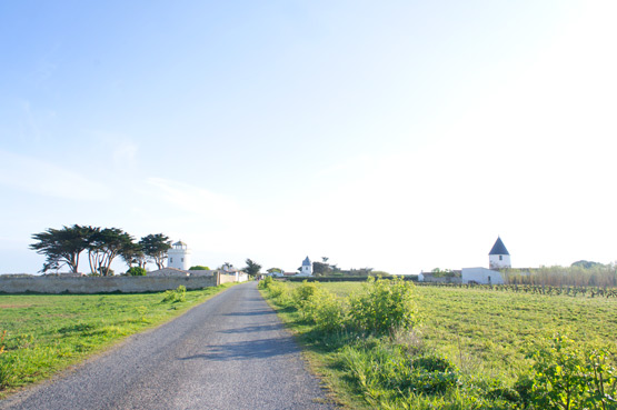 JOELIX.com | Ile de Ré, France