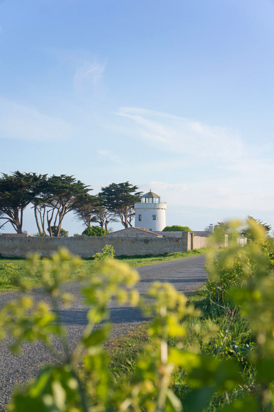 JOELIX.com | Ile de Ré, France