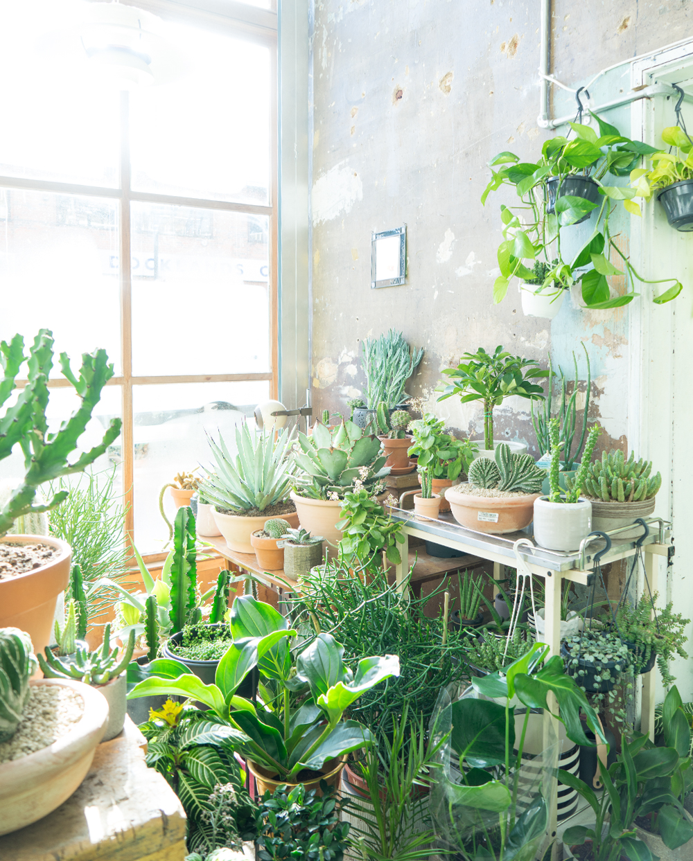 JOELIX.com | Conservatory Archives London #urbanjunglebloggers