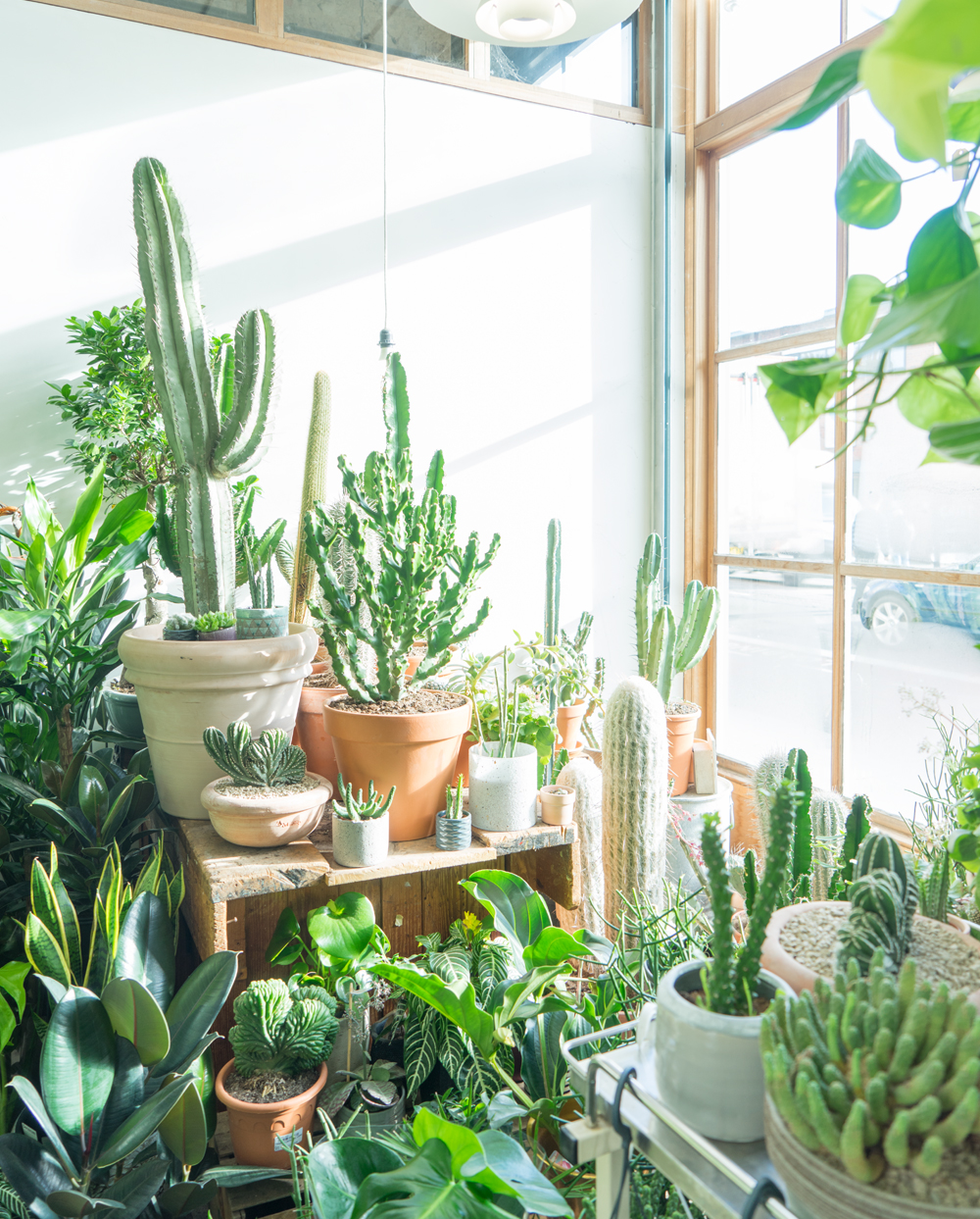 JOELIX.com | Conservatory Archives London #urbanjunglebloggers