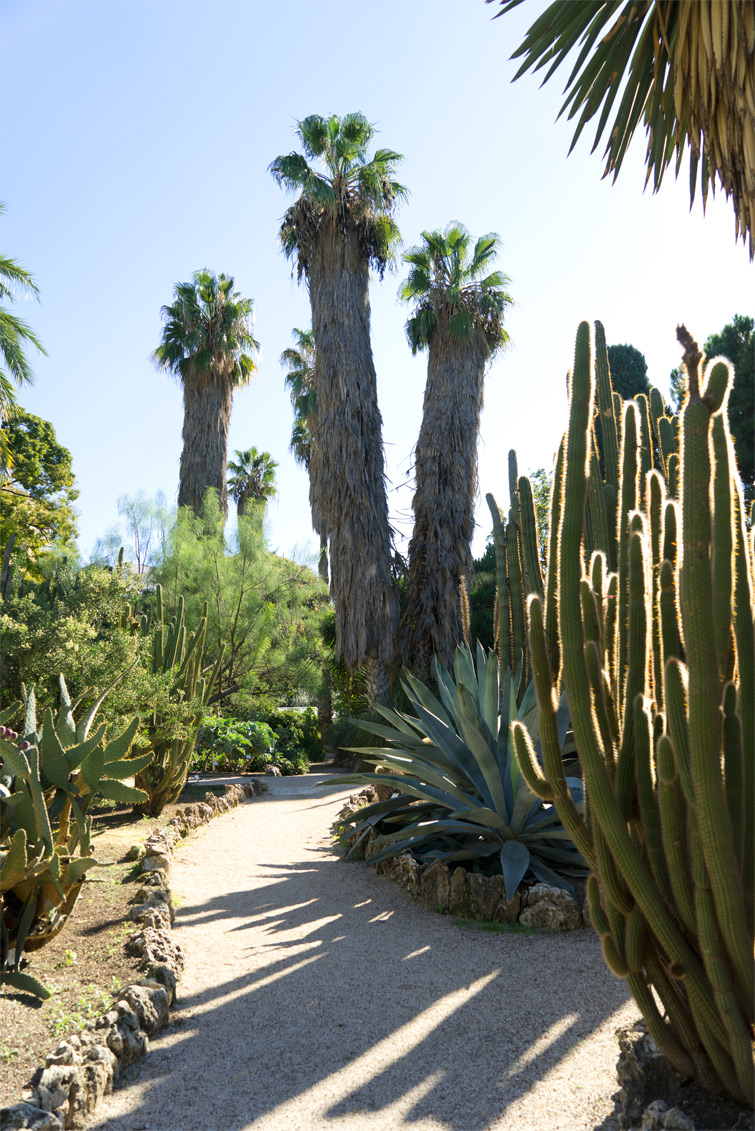 JOELIX.com | Botanical garden in Valencia Spain