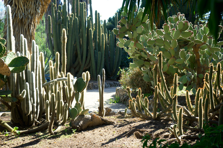 JOELIX.com | Botanical garden in Valencia Spain