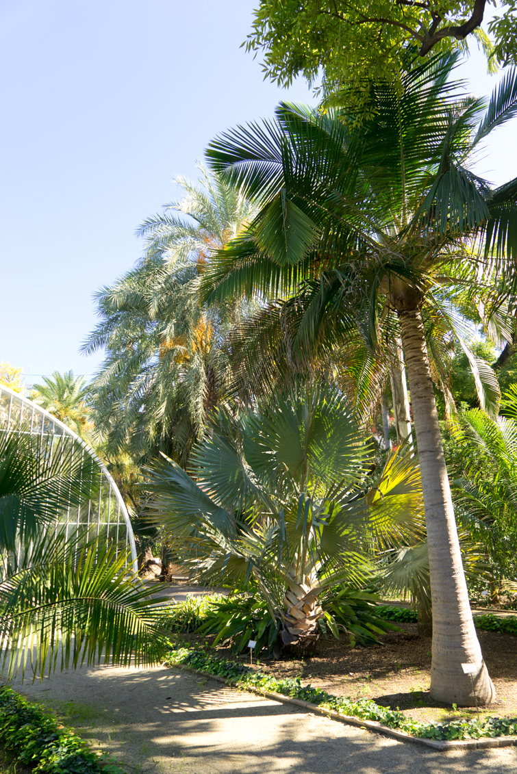 JOELIX.com | Botanical garden in Valencia Spain