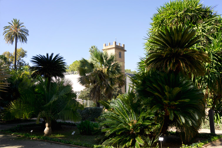 JOELIX.com | Botanical garden in Valencia Spain