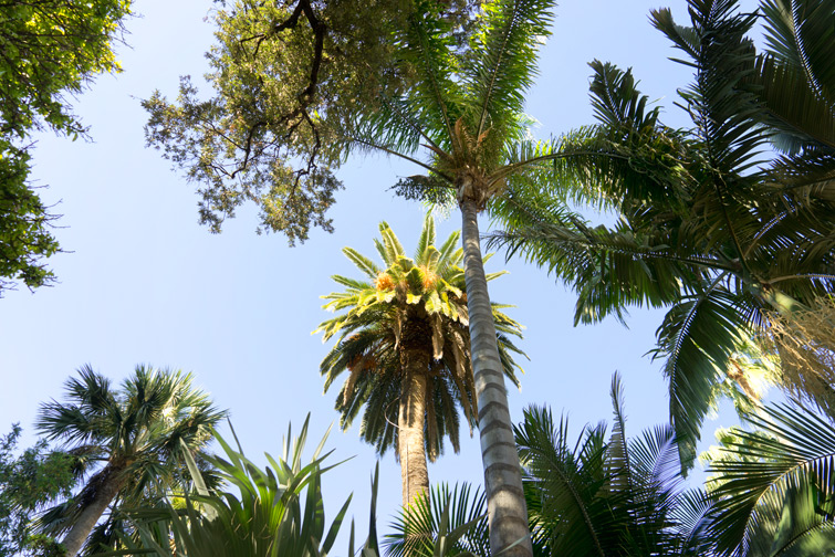 JOELIX.com | Botanical garden in Valencia Spain