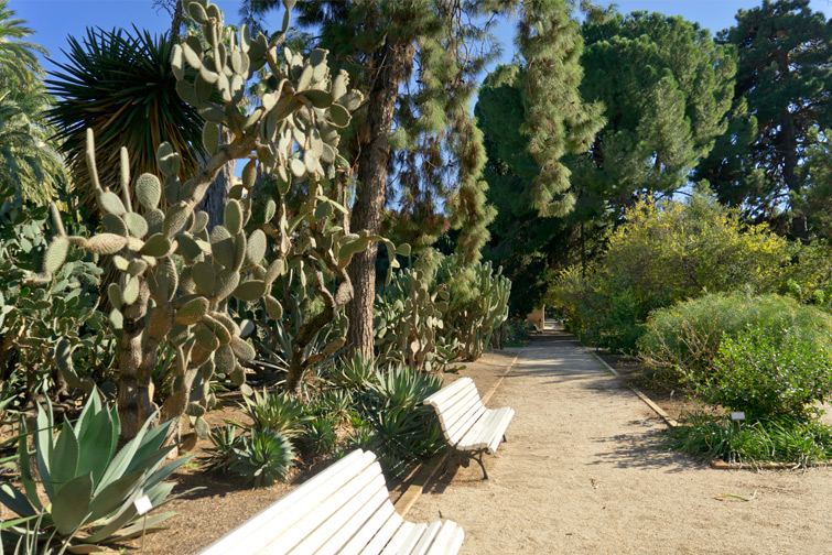 JOELIX.com | Botanical garden in Valencia Spain