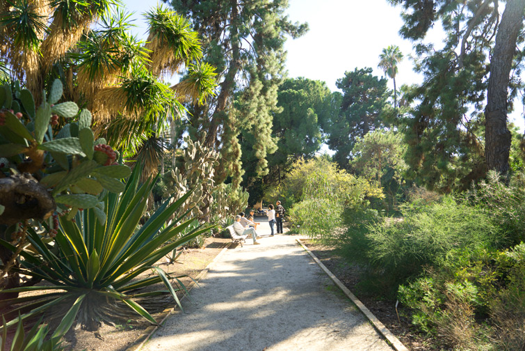 JOELIX.com | Botanical garden in Valencia Spain