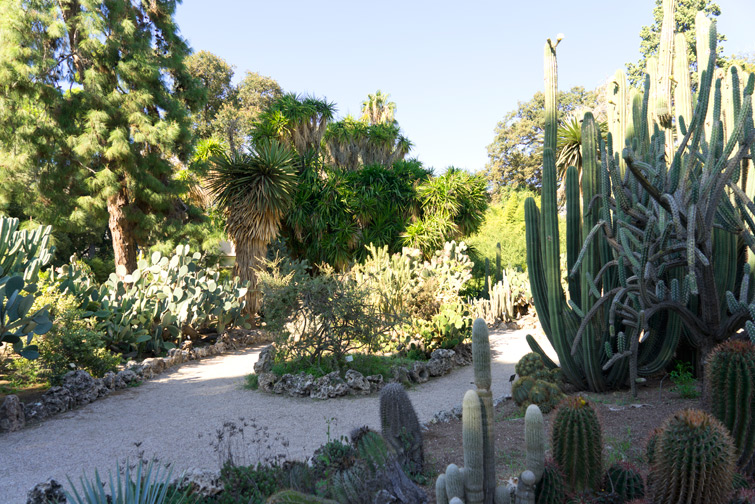 JOELIX.com | Botanical garden in Valencia Spain