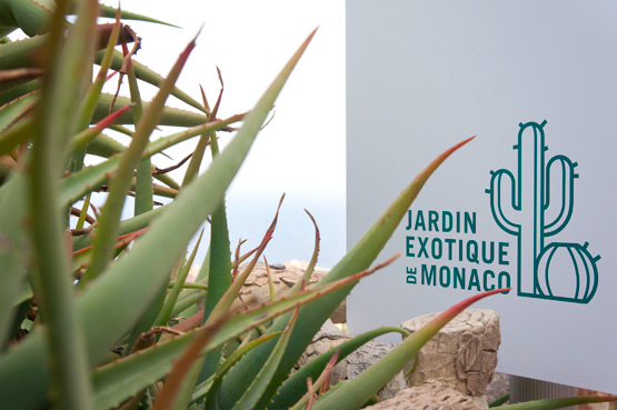 JOELIX.com | Jardin exotique de Monaco