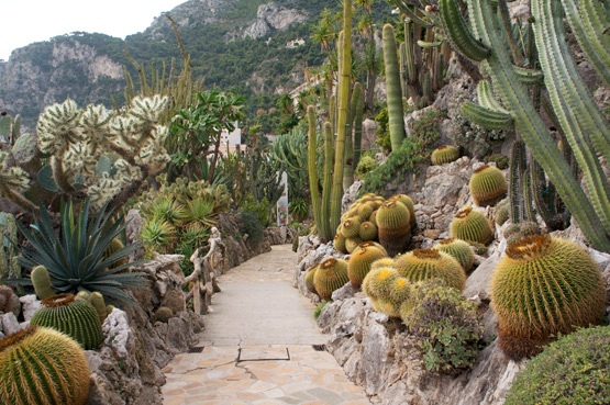 JOELIX.com | Jardin exotique de Monaco