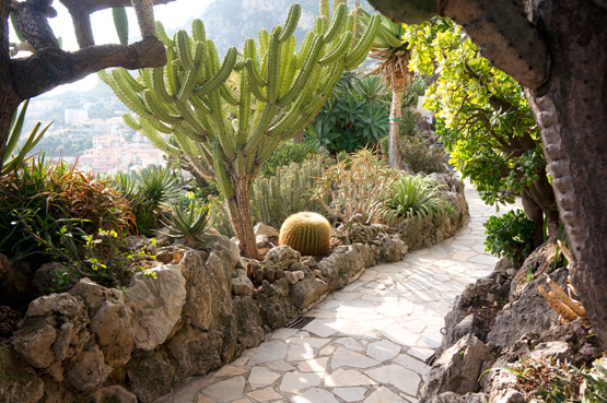 JOELIX.com | Jardin exotique de Monaco