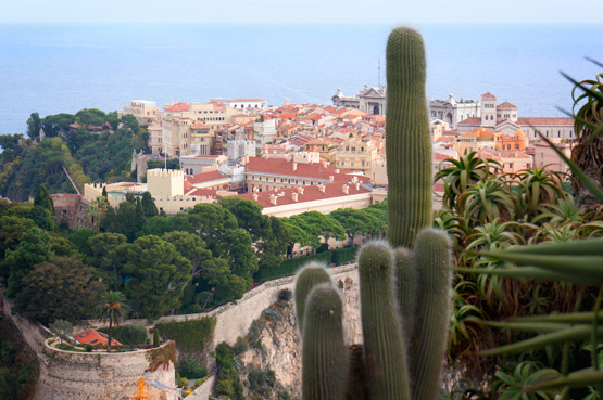 JOELIX.com | Jardin exotique de Monaco