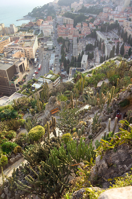 JOELIX.com | Jardin exotique de Monaco