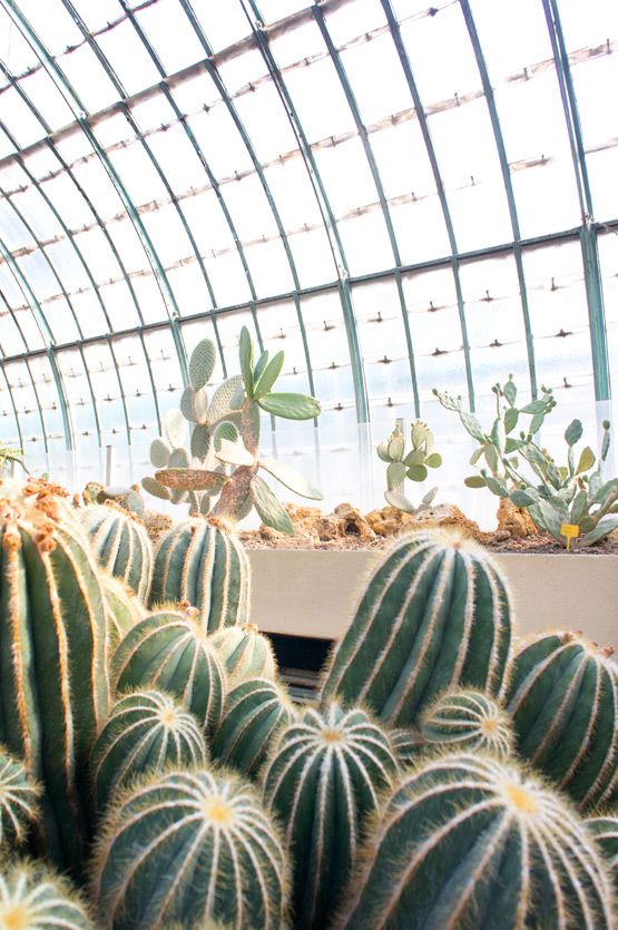 JOELIX.com | Jardin des Serres d'Auteuil in Paris