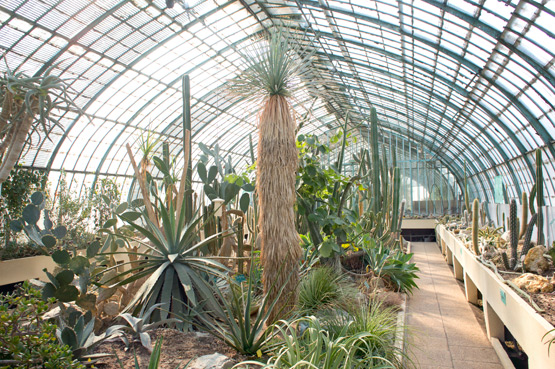 JOELIX.com | Jardin des Serres d'Auteuil in Paris