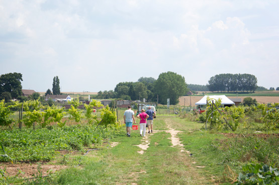 JOELIX.com | Les Jardins de Montplaisir in France