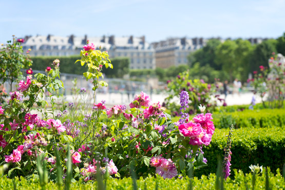 JOELIX.com | Jardins, Jardin Tuileries Paris