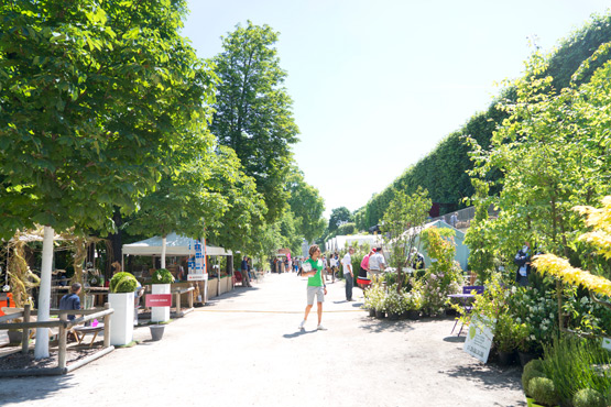 JOELIX.com | Jardins, Jardin Tuileries Paris