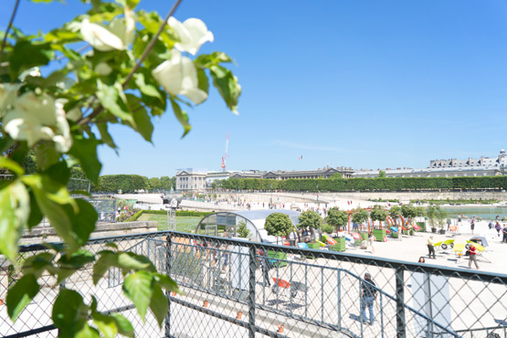 JOELIX.com | Jardins, Jardin Tuileries Paris