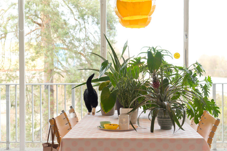 JOELIX.com | Urban Jungle Bloggers - #jungleanimals