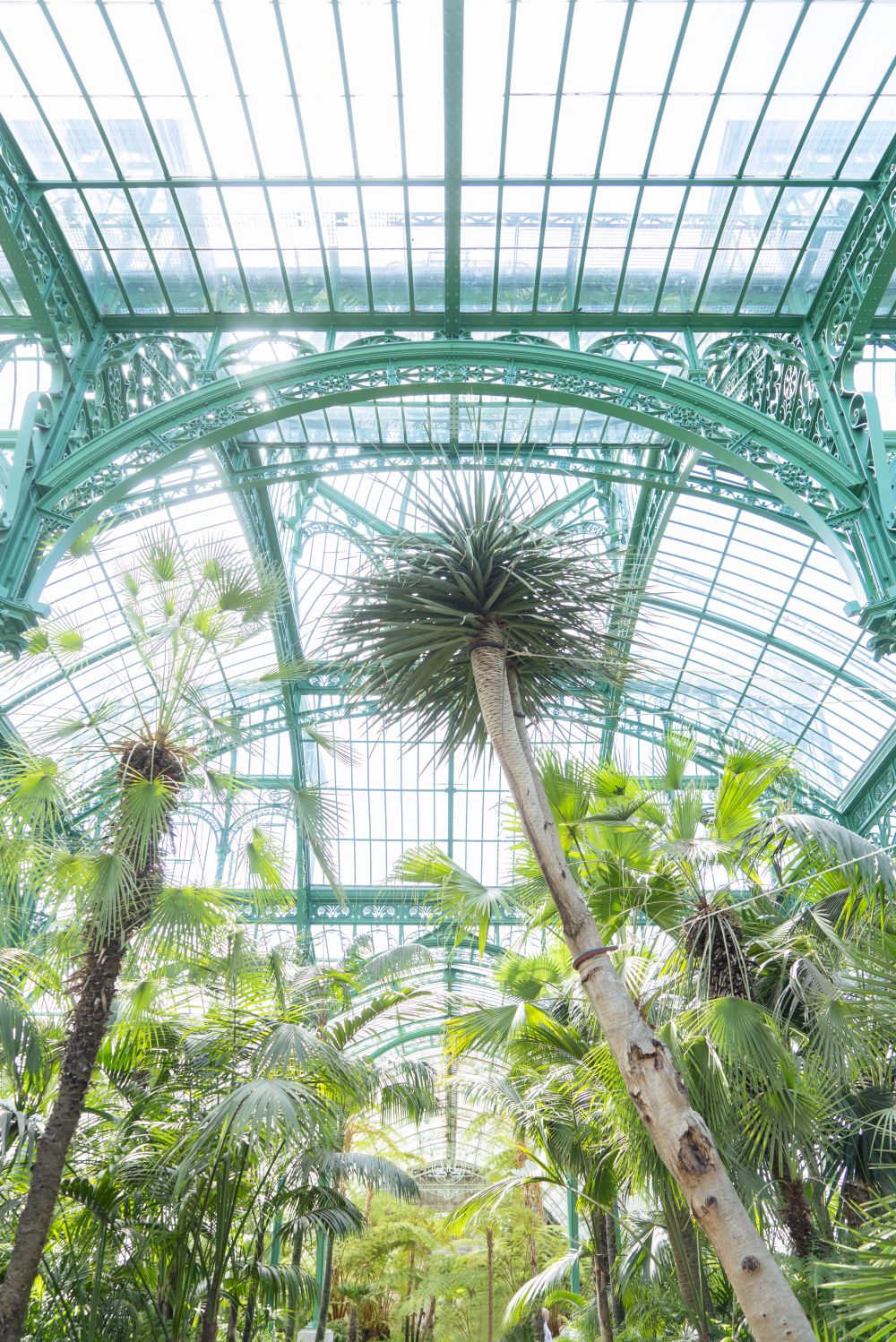 JOELIX.com | Royal Greenhouses of Laeken in Brussels #urbanjunglebloggers