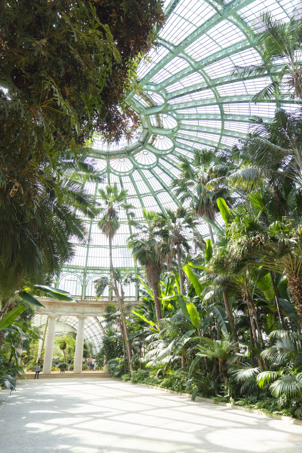 JOELIX.com | Royal Greenhouses of Laeken in Brussels #urbanjunglebloggers