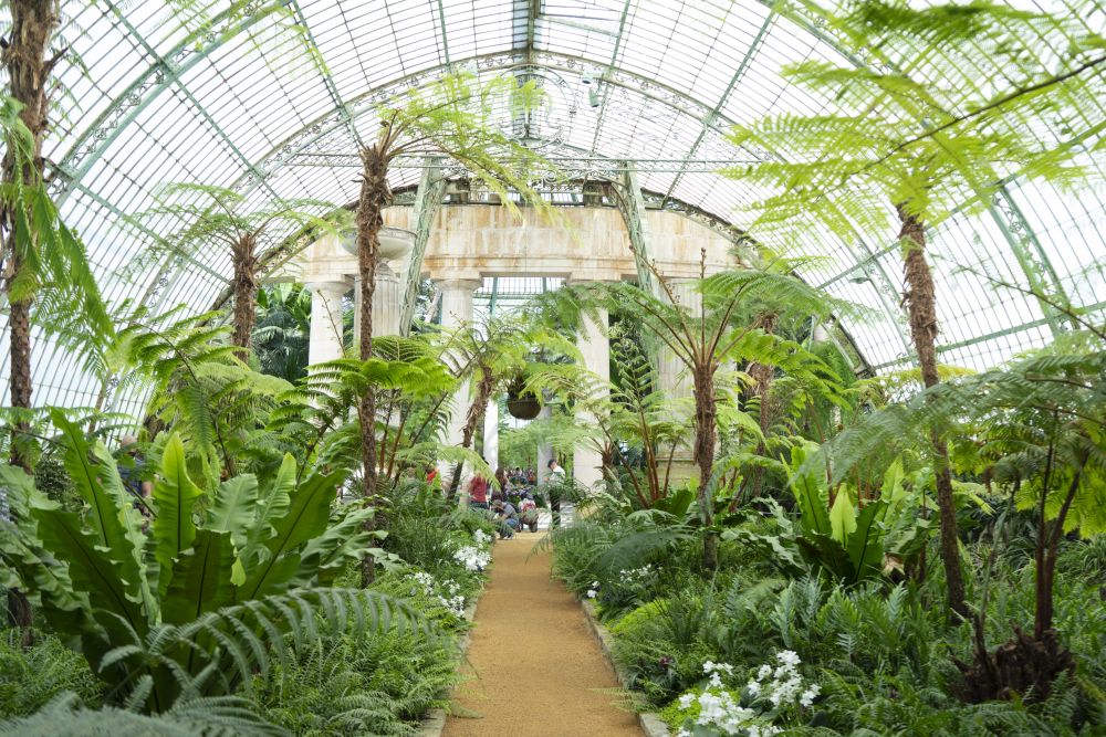 JOELIX.com | Royal Greenhouses of Laeken in Brussels #urbanjunglebloggers