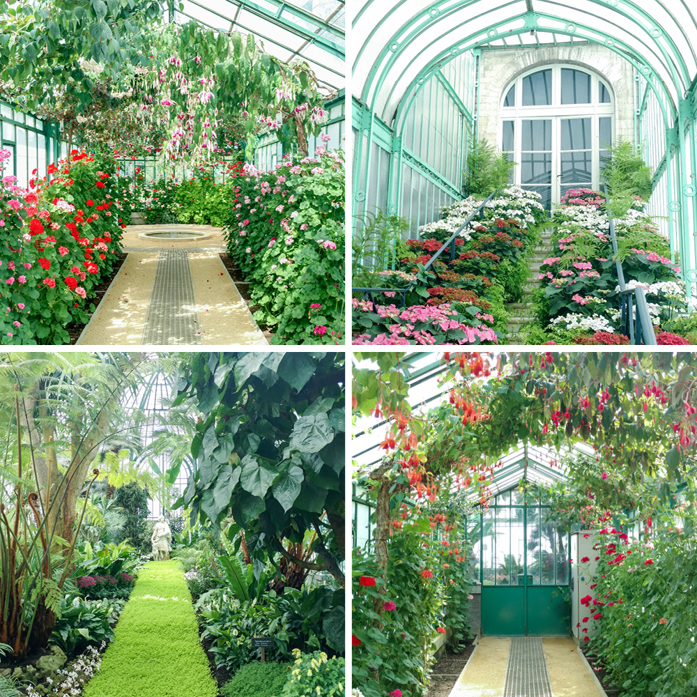 JOELIX.com | Royal Greenhouses of Laeken in Brussels #urbanjunglebloggers