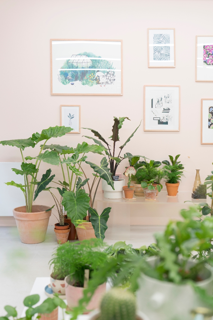 JOELIX.com | Leaf plant shop in Paris #urbanjunglebloggers #plantshop #paris