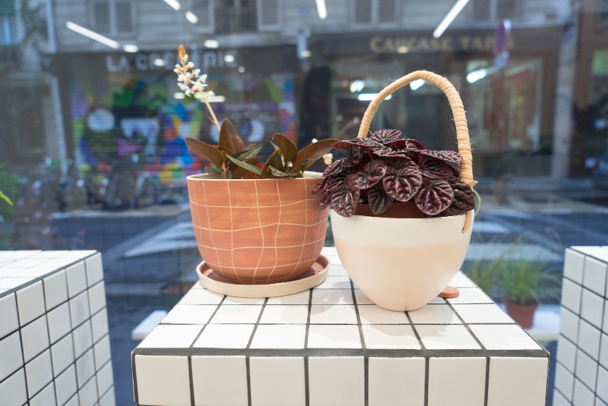 JOELIX.com | Leaf plant shop in Paris #urbanjunglebloggers #plantshop #paris