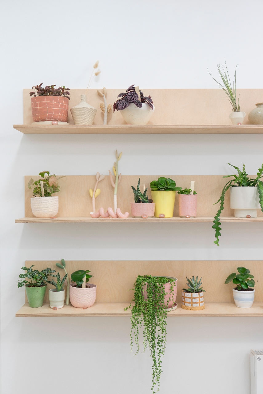 JOELIX.com | Leaf plant shop in Paris #urbanjunglebloggers #plantshop #paris