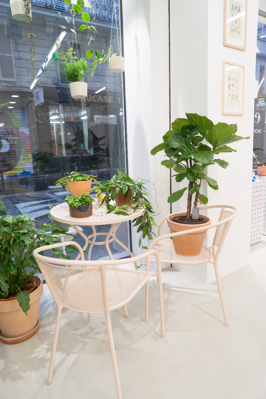 JOELIX.com | Leaf plant shop in Paris #urbanjunglebloggers #plantshop #paris