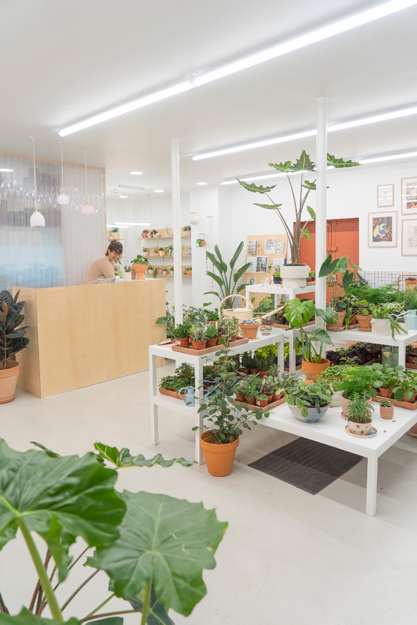 JOELIX.com | Leaf plant shop in Paris #urbanjunglebloggers #plantshop #paris