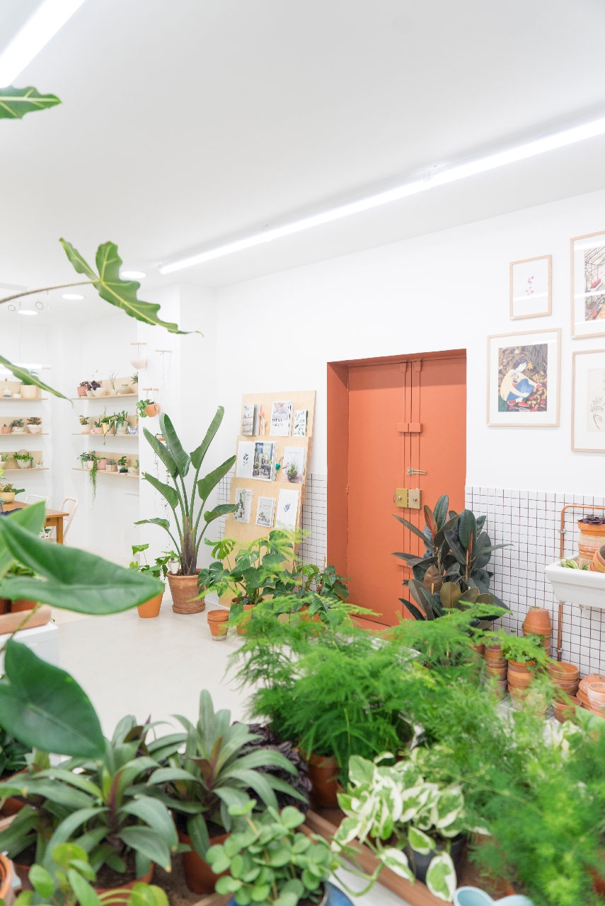 JOELIX.com | Leaf plant shop in Paris #urbanjunglebloggers #plantshop #paris