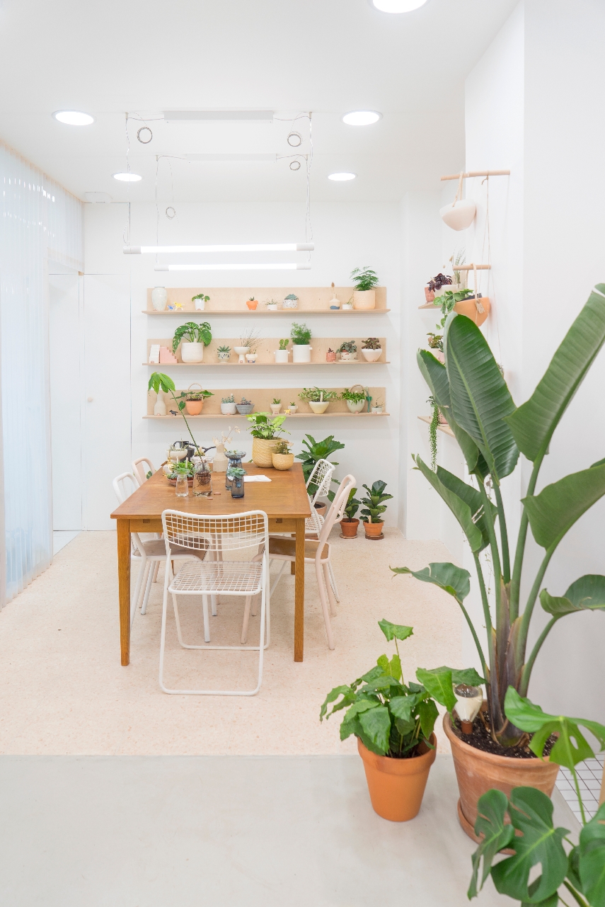 JOELIX.com | Leaf plant shop in Paris #urbanjunglebloggers #plantshop #paris