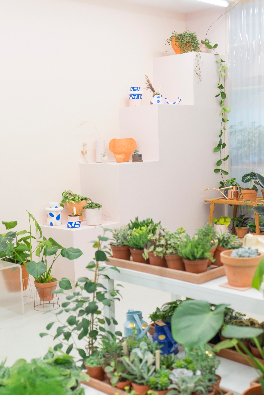 JOELIX.com | Leaf plant shop in Paris #urbanjunglebloggers #plantshop #paris