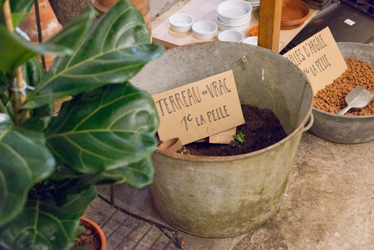 JOELIX.com | Mama Petula plant corner at Welcome Bio Bazar in Paris