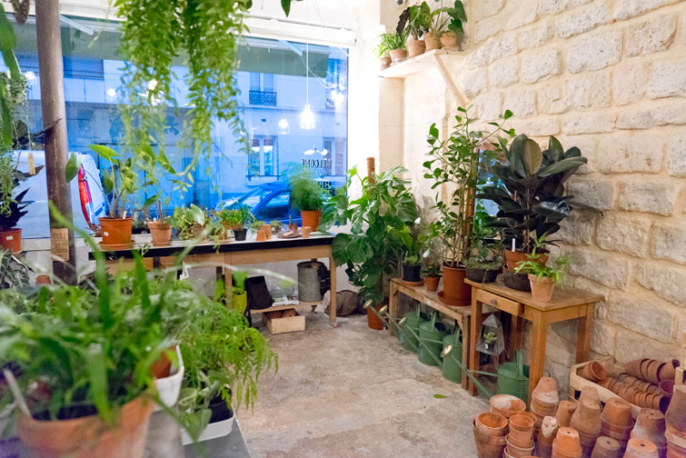 JOELIX.com | Mama Petula plant corner at Welcome Bio Bazar in Paris