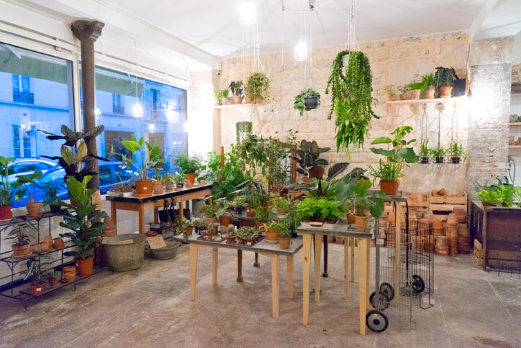 JOELIX.com | Mama Petula plant corner at Welcome Bio Bazar in Paris