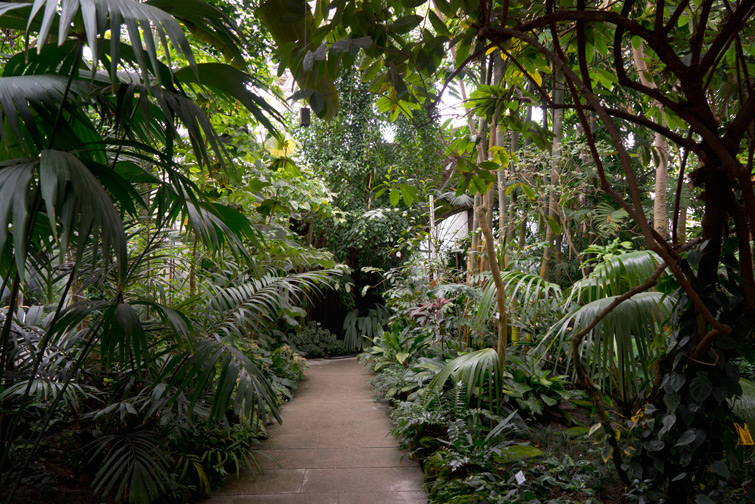 JOELIX.com | Botanical Garden in Munich