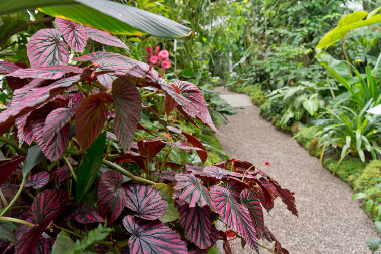 JOELIX.com | Botanical Garden in Munich