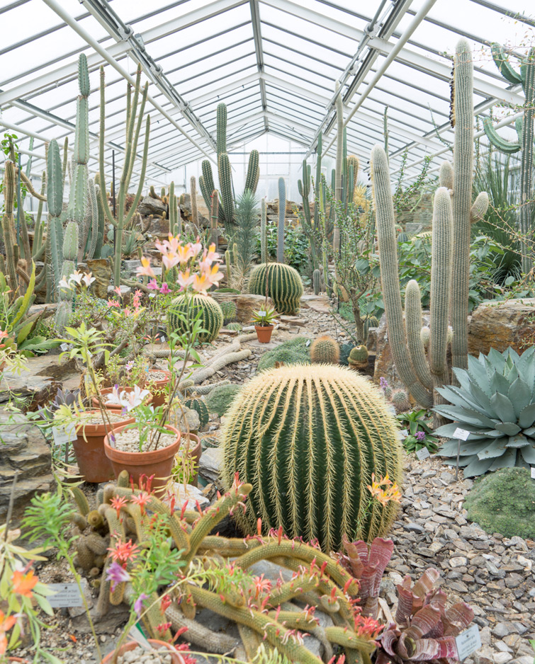 JOELIX.com | Botanical Garden in Munich