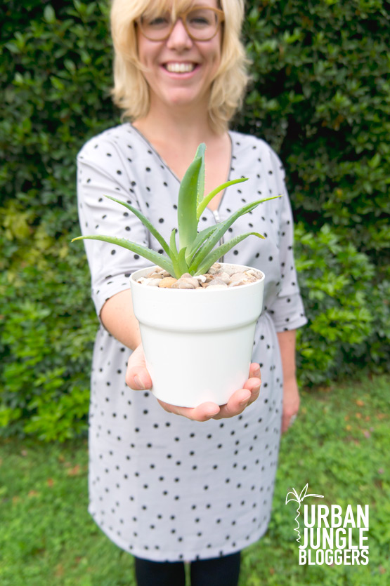 JOELIX.com | Urban Jungle Bloggers about watering your plants + giveaway!