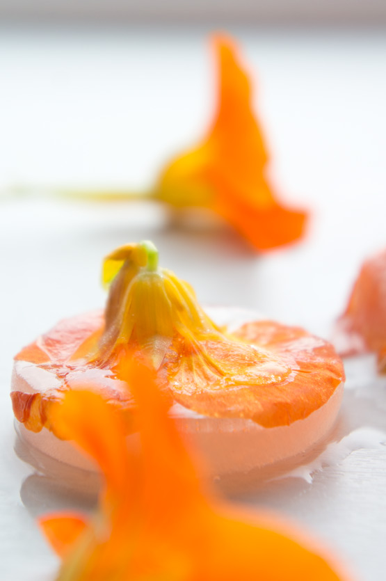 JOELIX.com | Frozen Indian cress orange edible flowers nasturtium
