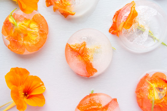 JOELIX.com | Frozen Indian cress orange edible flowers nasturtium