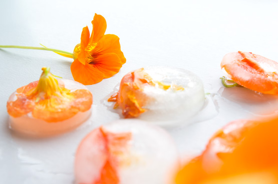 JOELIX.com | Frozen Indian cress orange edible flowers nasturtium