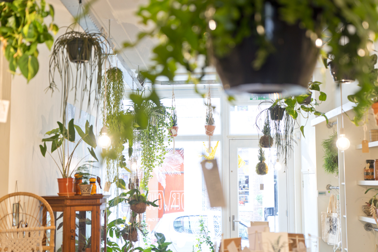 JOELIX.com | Oerwoud plant shop in Den Bosch - The Netherlands