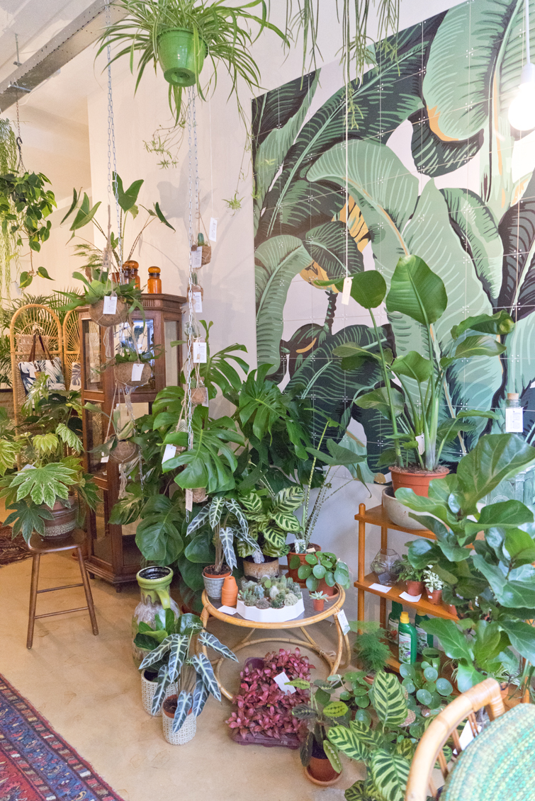 JOELIX.com | Oerwoud plant shop in Den Bosch - The Netherlands