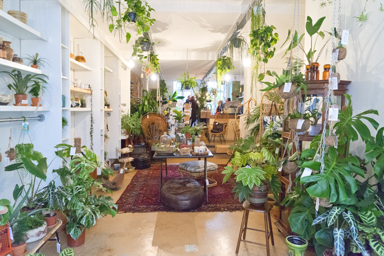 JOELIX.com | Oerwoud plant shop in Den Bosch - The Netherlands